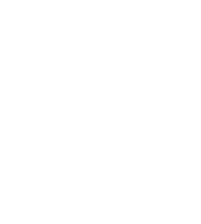 PIEG Connect Logo